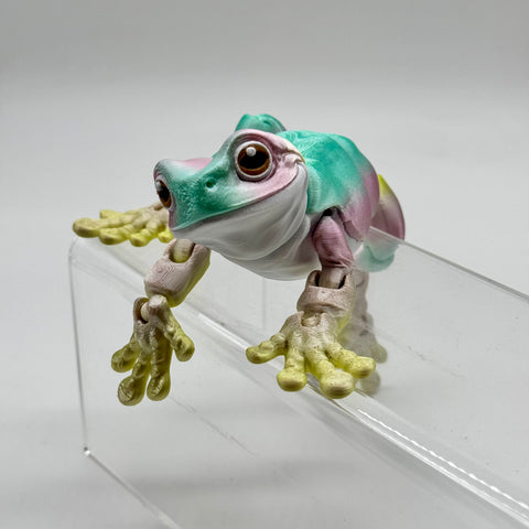 Curious Happy Frog Articulated 8”