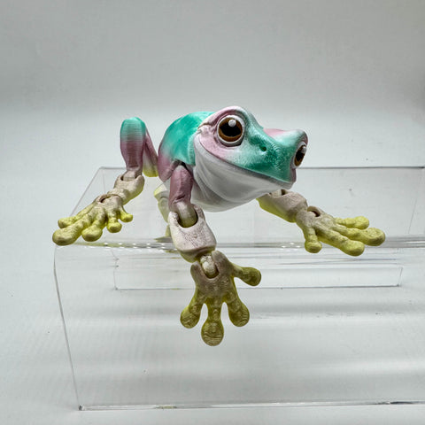 Curious Happy Frog Articulated 8”