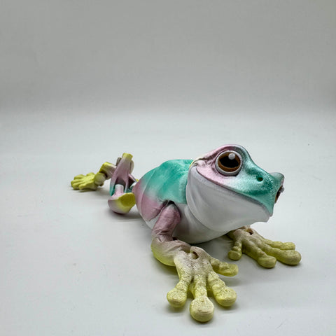 Curious Happy Frog Articulated 8”