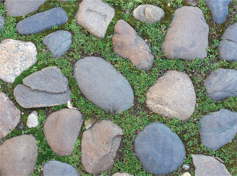 Pebble Stone - Floor
